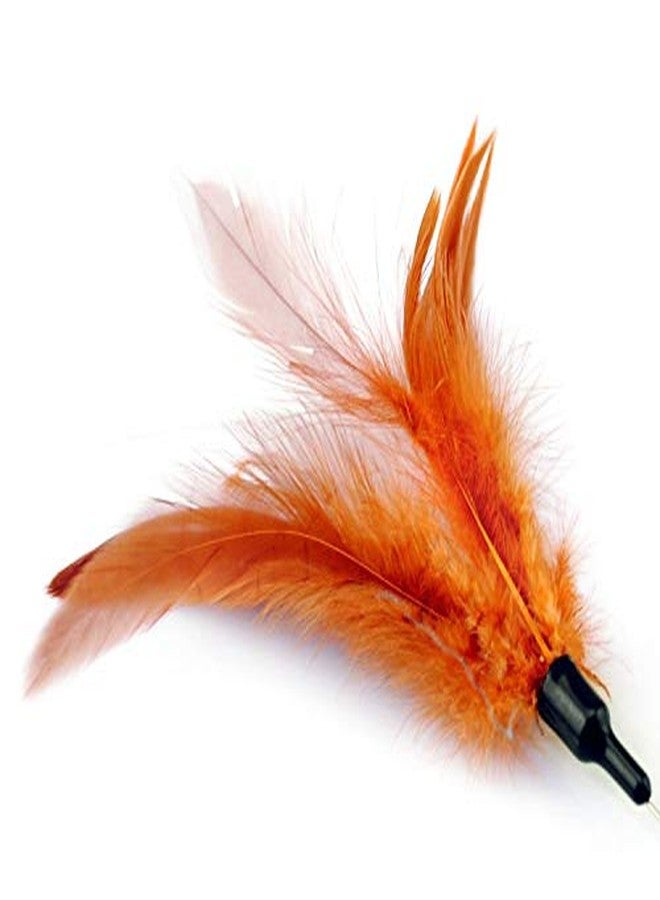 The DDS Store Cat Teaser Feather Stick Toy Interactive Cat Toy Teaser with Feather (Color May Vary) - Image 4